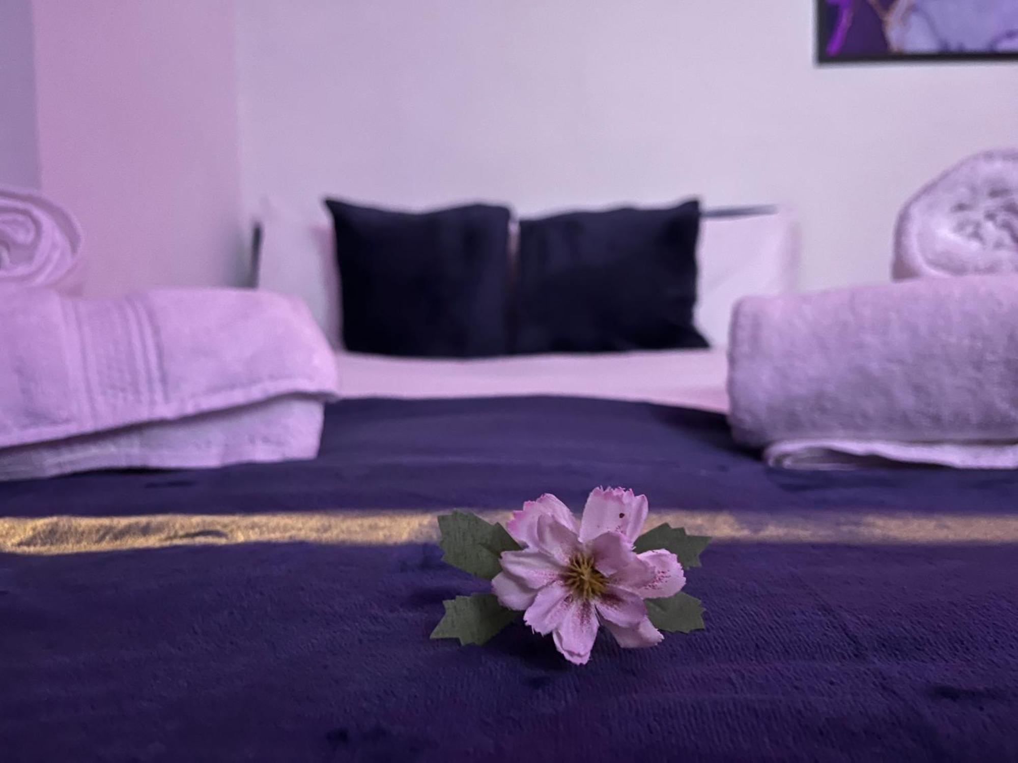 Apartment In Camden, Central Location London Eksteriør billede